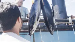 Péril en haute mer : l'héritage