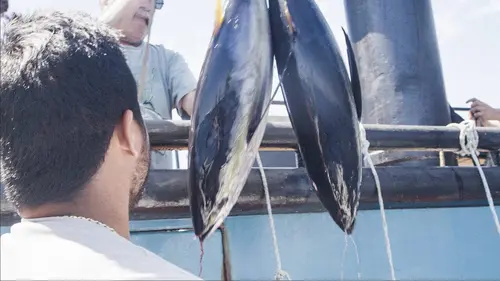 Épisodes de Péril en haute mer : l'héritage