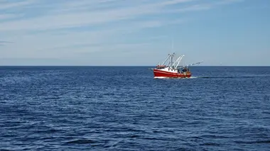 Péril en haute mer La bataille du Kamtchatka