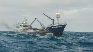 Péril en haute mer La bombe