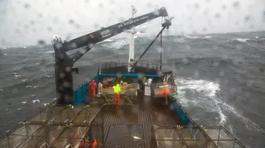 Péril en haute mer La discipline s'Impose