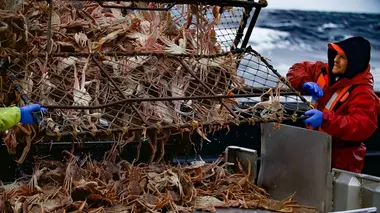 Péril en haute mer La guerre tiède