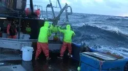 Visuel de Péril en haute mer : la relève