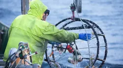 Péril en haute mer : la relève