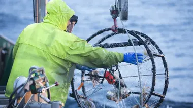 Péril en haute mer : la relève