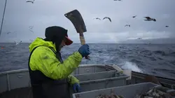 Péril en haute mer : la relève