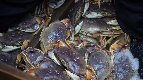 Péril en haute mer : la relève