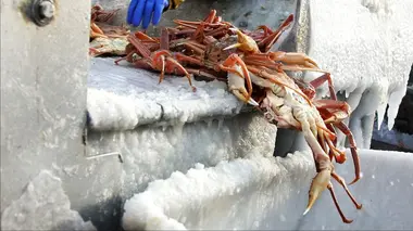 Péril en haute mer Le prix ultime