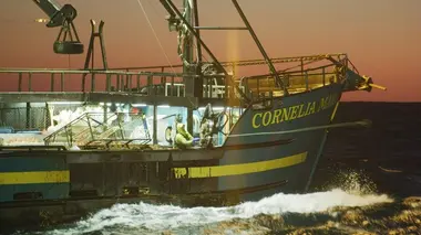 Péril en haute mer Monstre de 18 mètres