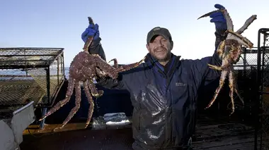 Péril en haute mer Talent gâché