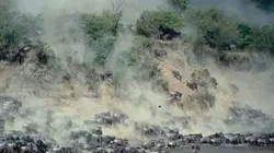 Visuel de Péril sur la Mara