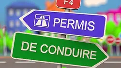 Sur France 4 à 20h50 : Permis de conduire