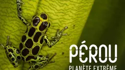 Pérou, planète extrême E01 L'Amazonie, fabrique à nuages