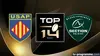 Perpignan / Pau Rugby Top 14 2025-2026
