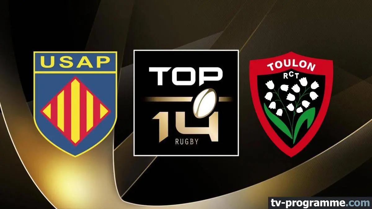 Perpignan / Toulon Rugby Top 14 2025-2026