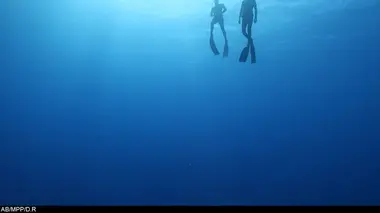 Un tueur dans les marécages
