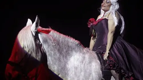 Perspectives cavalières