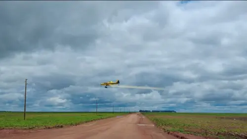 Pesticides: l'hypocrisie européenne