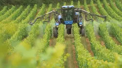 Pesticides, la plaie des champs
