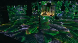 Petite histoire du futur Etre humain