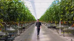 Petite histoire du futur