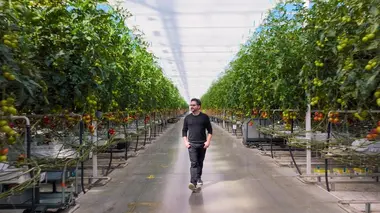 De nouveaux lendemains