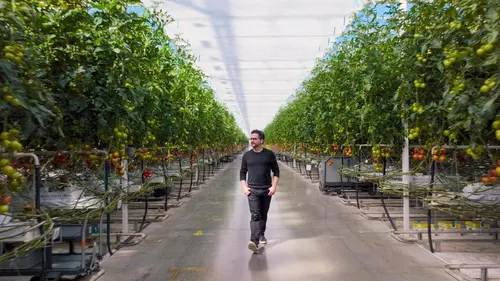 Petite histoire du futur De nouveaux lendemains