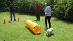 Petits mais féroces!