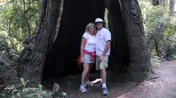 Petits meurtres en Californie