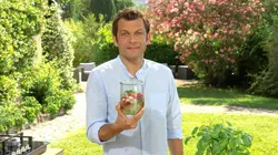 Petits plats en équilibre