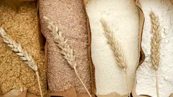 Petits plats en équilibre : sur la route des producteurs