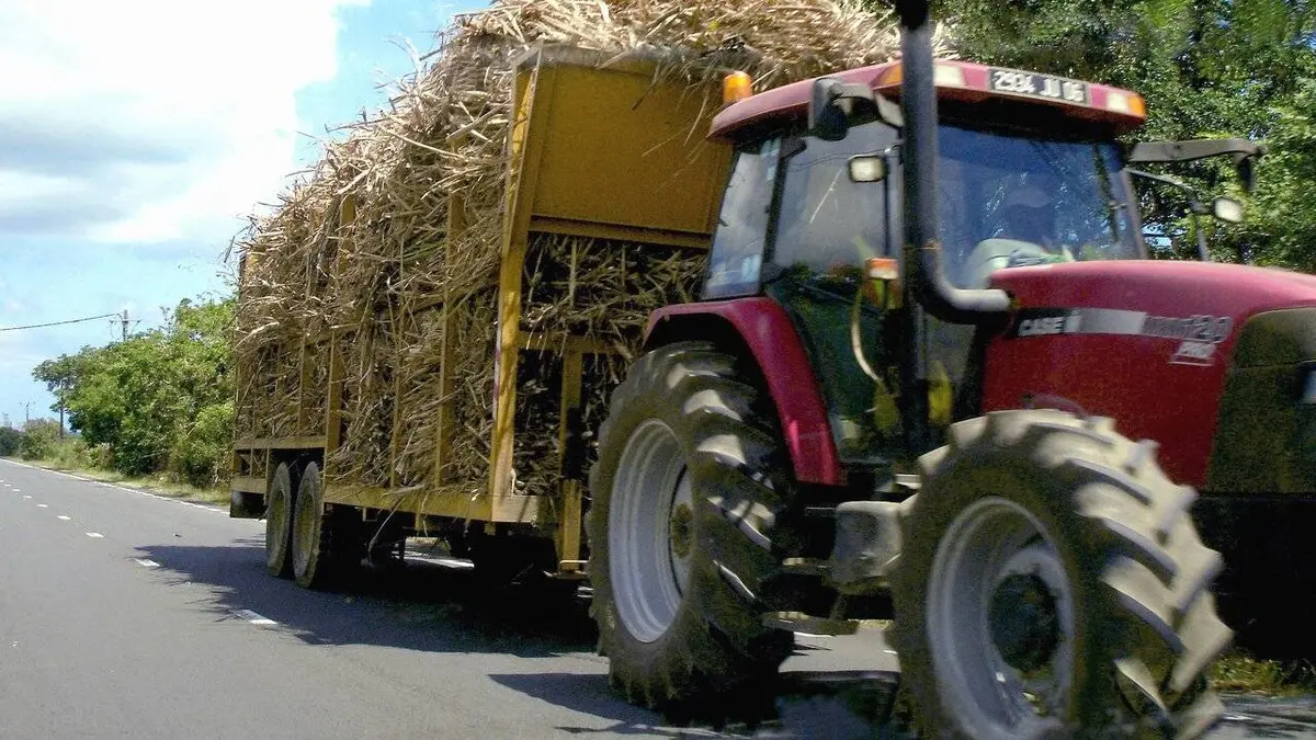 Petits revenus ou grosses fortunes : combien gagnent vraiment nos agriculteurs ?