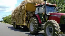 Visuel de Petits revenus ou grosses fortunes : combien gagnent vraiment nos agriculteurs ?