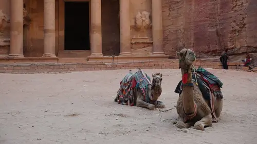 Casting Pétra, la cité des sables