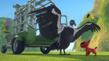 Mission : S.O.S. condor des Andes