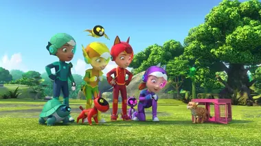 Mission : S.O.S. chat rubigineux