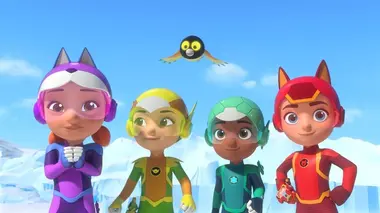 Mission : S.O.S. phoque du Groenland