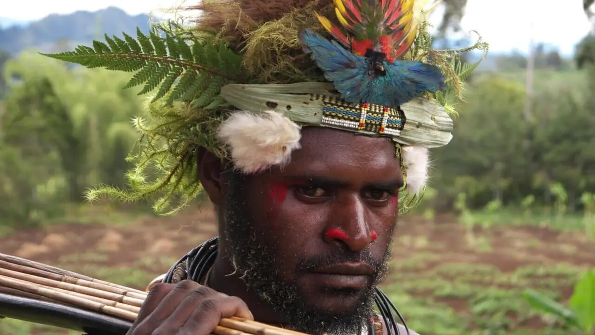 Peuples de Papouasie-Nouvelle-Guinée La région des Hautes-Terres