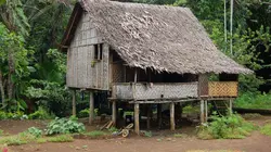 Peuples de Papouasie-Nouvelle-Guinée