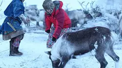 Visuel de Peuples nomades