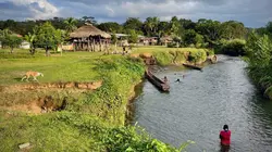 Peuples racines Panama, la forêt des Embera