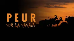 Peur sur la savane