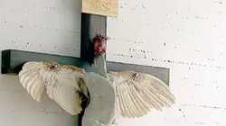 Visuel de Peut-on outrager Dieu ?