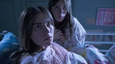 Les habitants cachés de l'hôpital