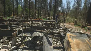 Phénomènes climatiques extrêmes Les grands incendies