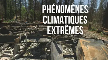 Phénomènes climatiques extrêmes Vagues de chaleur