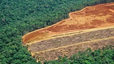 L'empire perdu de l'Amazonie
