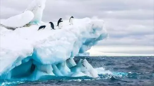 Phénomènes vus de l'espace S03E12 La malédiction du monstre marin