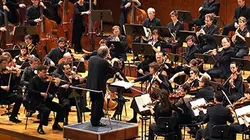Visuel de Philippe Herreweghe dirige Bruckner avec l'Orchestre des Champs-Elysées