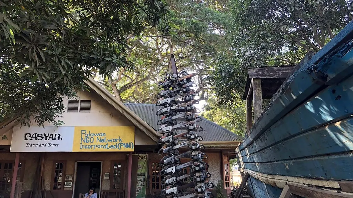 Philippines, sauver la forêt au péril de sa vie